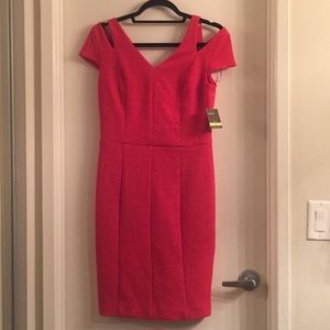 Taylor dress (NWT)